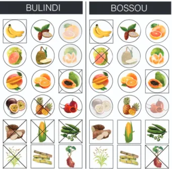 Figure 1 | Comparison of crop foods consumed by chimpanzees at Bulindi and Bossou. Crops arranged from top-left corner: banana, cocoa, grapefruit, guava, jackfruit, mandarin, mango, orange, papaya, passion fruit, pineapple, tamarillo, cassava, maize, okra,