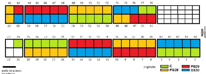Figura 3 – Esquema da distribuição dos grupos pelas jaulas de ensaio. Fonte: autor. 