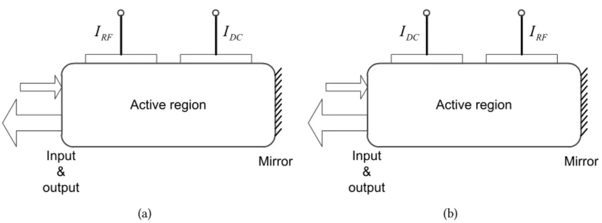 Figure 2.13: Schematic diagram of two electrodes: (a) Case I: input&amp;output modulation, (b) Case II: mirror modulation.