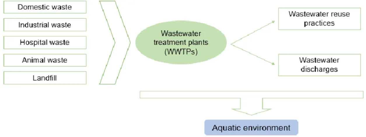 Figure  2.  Different  sources  of  pharmaceuticals  and  the  pathways  used  to  reach  the  aquatic  environment  (based  on  Lapworth et al