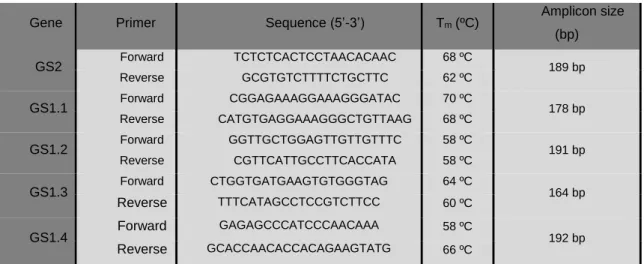 Table 3 .  Gene-specific primers, their T m  and respective expected amplicon sizes for the performed RT-PCR reactions.