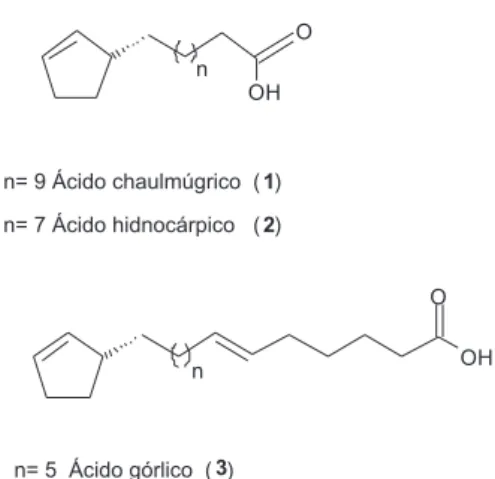 Figura 1. Ácidos graxos ciclopentênicos majoritários presentes no óleo de  chaulmugra