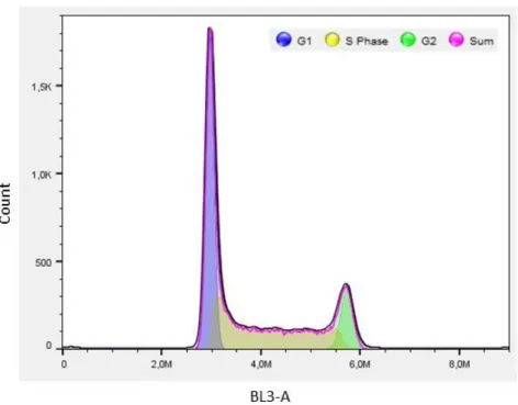 Fig. 6. Cell cycle profile of A549 by flow cytometry. 