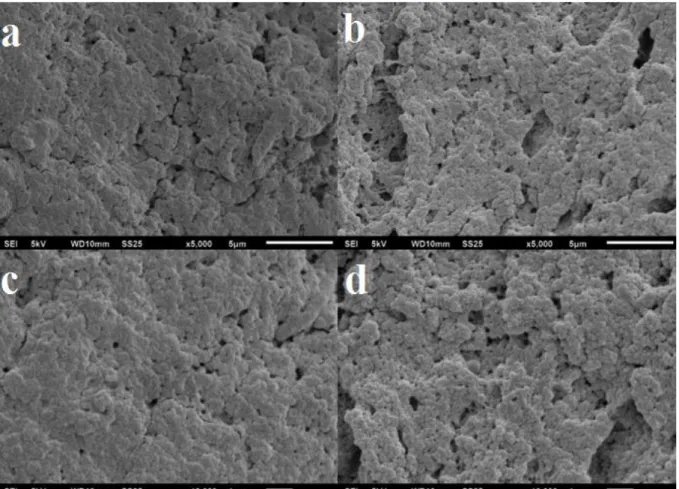 Figure 3.3  –  SEM images of CAT-BSA-CLEAs (a, c) and CAT-CLEAs (b, d). 