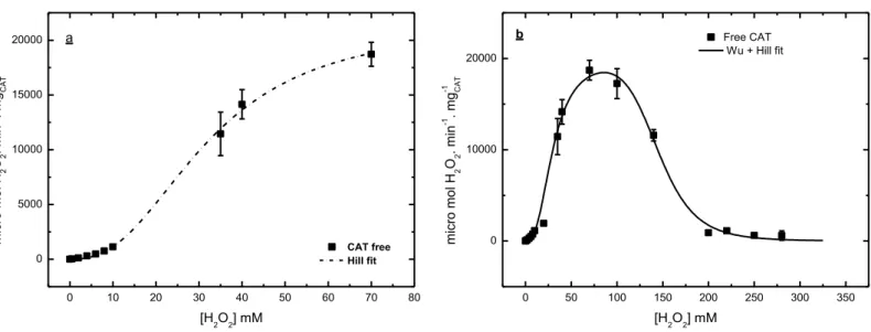 Figure 3.4  –  Effect of H 2 O 2  concentration on the activities at 25  o C and pH 7.5 of soluble  CAT: (a) the Hill model fitted to experimental data in the range without inhibition (k cat  =  21,537±799  μ mol H 2 O 2 .min -1 .mg -1 CAT , K m  = 32.08±1
