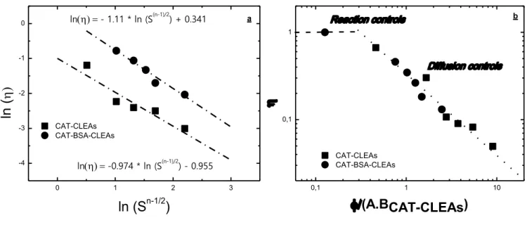 Figure 3.6  –  Effectiveness factors ( η ) for immobilized CAT (CAT-CLEAs and CAT-BSA- CAT-BSA-CLEAs) with n order intrinsic kinetic (n = 2.47) versus (a)  ln(√S (n-1) ), and; (b)  ϕ /AB CAT-CLEAs 