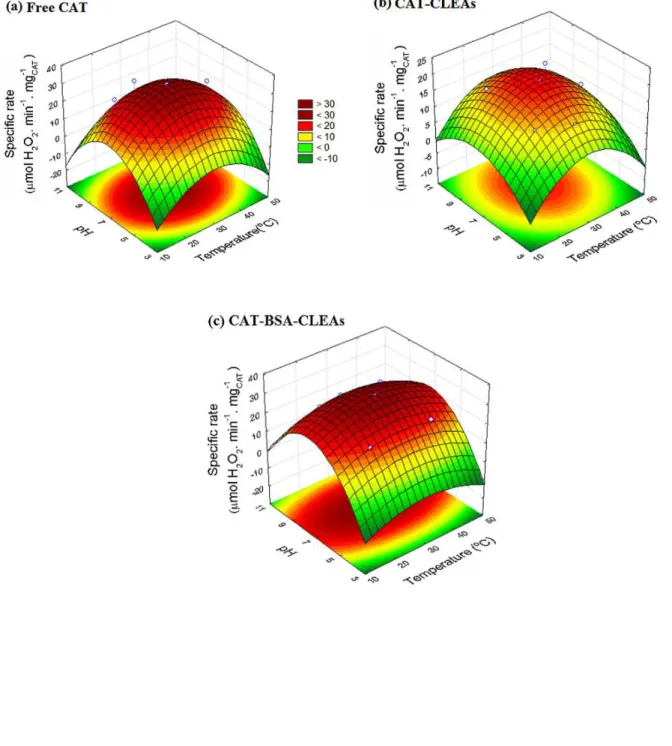 Figure 3.7  –  Surface response showing the pH and temperature effect on (a) Free CAT, (b)  CAT-CLEAs and (c) CAT-BSA-CLEAs activities