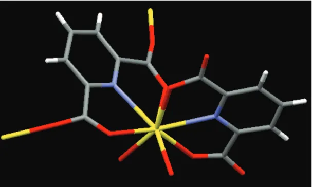 Figura 2S. Unidade assimétrica da rede de coordenação  ∞ [Gd(DPA)(HDPA)]. Carbono: cinza; Hidrogênio: branco; Nitrogênio: azul; Oxigênio: vermelho; 