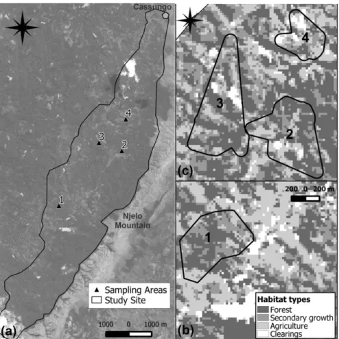 Fig. 1 (a) Study site in Kumbira Forest with the four sampling areas (1-4): (b) Sampling areas were defined according to  the forest type: 1 Invasive; (c) 2 Natural; 3 Mixed and 4 Coffee