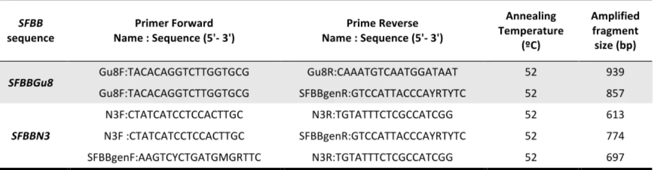 Table    1.    Primers    used    to    characterize    SFBBGu8    and    SFBBN3    sequences