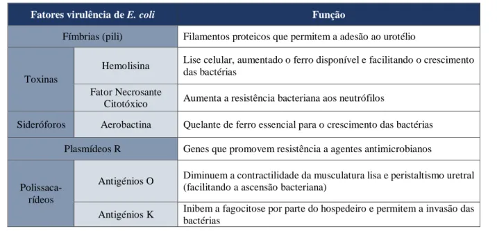 Tabela 2 - Fatores de virulência estudados em E. coli uropatogénica (Fonte: adaptado de Barsanti, 2012)