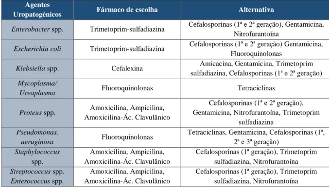Tabela  6  -  Agentes  uropatogénicos  mais  comuns  e  sensibilidade  aos  agentes  antimicrobianos  (Fonte: 