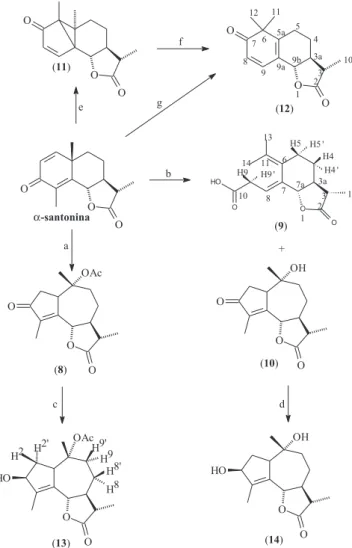 Tabela 1. Condições e rendimentos das reações fotoquímicas da  α-santonina e da lumissantonina