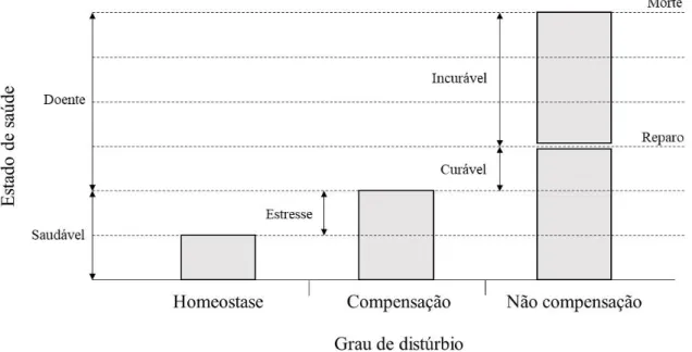 Figura 6. Representação de distúrbio induzido por estresse e subsequente dano a saúde