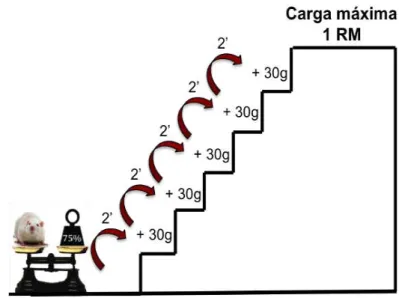 Figura 2. Determinação da carga máxima de carregamento 