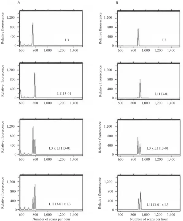 Figure 1. Electropherograms showing alleles ampli! ed using the SSR bnlg1208 (A) and  umc2025 (B) primers  labeled with 6-FAM