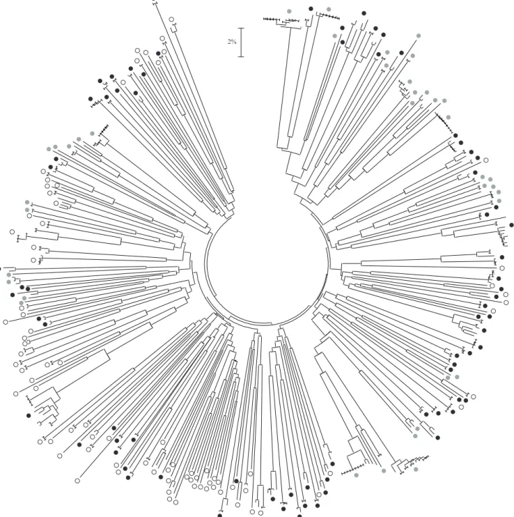 Figure 2. Neighbour-joining tree based on K2P distances from 457 DNA barcode sequences of earthworms