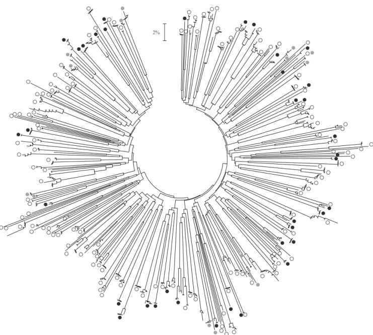 Figure 3. Neighbour-joining tree based on K2P distances from 695 DNA barcode sequences of collembolans