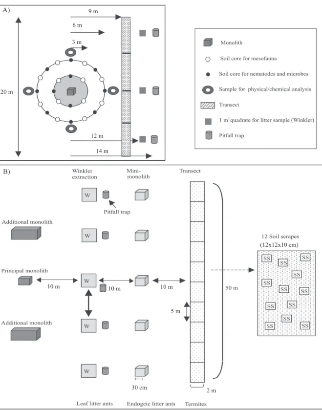 Figure 2.  Minimum point sampling scheme for all biota adopted by CSM‑BGBD (from Huising et al., 2008, with permission  of Earthscan) (A)
