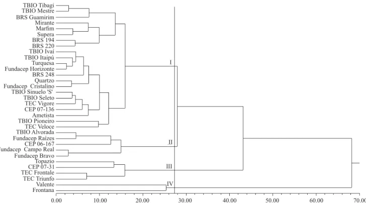 Figure 2. Dendrogram depicting the analysis of 33 wheat (Triticum aestivum) genotypes obtained by the joint analysis of  the 2010 and 2011 crop seasons based on eight phenotypic traits: germinated grains; falling number; grain yield; hectoliter  weight; we