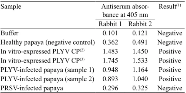 Table 2.  Results of indirect Elisa to test polyclonal antiserum  produced against the in vitro-expressed coat protein (CP) of  Papaya lethal yellowing virus (PLYV).