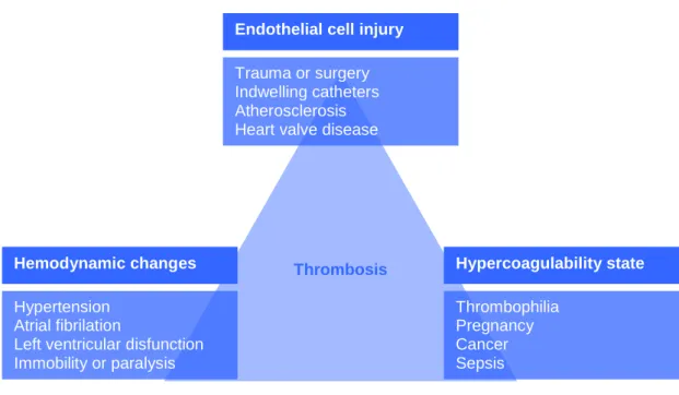 Figure 3 – Representation of the Virchow’s triad.  