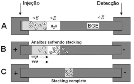 Figura 3. Esquema representativo do stacking por injeção em grande volume. 