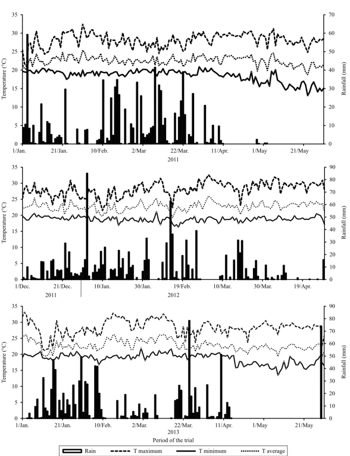 Figure 1. Maximum, minimum, and average temperatures (T), and rainfall recorded in the experimental field during  the experimental period.