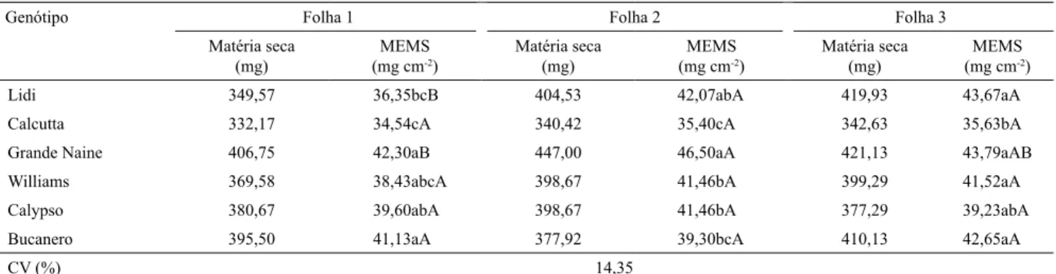 Tabela 2.  Massa de matéria seca e massa específica estimada a partir da massa de matéria seca (MEMS) dos discos foliares  de bananeiras ( Musa acuminata ) com diferentes ploidias, retirados de diferentes folhas (1) .