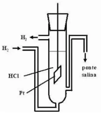 Figura 4. Foto do eletrodo de hidrogênio utilizado em aulas experimentais  no IQUSP e construído segundo indicações de Findlay 34