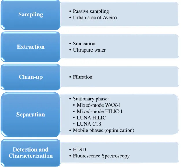 Figure 7 Proposal for the analytical procedure to be employed in this work.