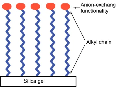 Figure 8 Surface composition of the Acclaim ®  Mixed-Mode WAX-1 column (adapted from Phenomenex  Columns Manual - a)).