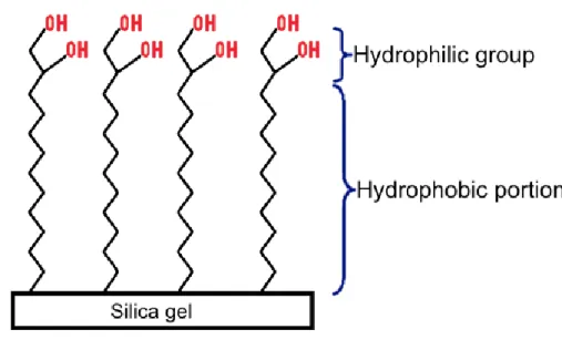 Figure 9 Surface chemical composition of the Acclaim ®  Mixed-Mode HILIC-1 column (adapted from  Phenomenex Columns Manual - b)).