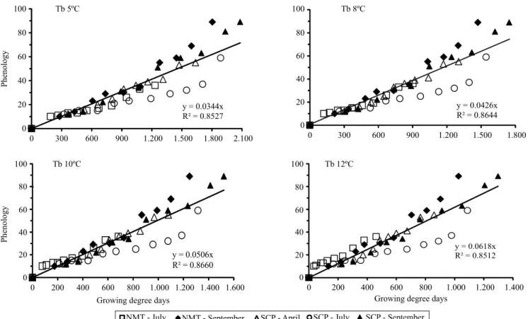 Figure 2. Accumulated phenological development of Conyza bonariensis, according to the scale of Hess et al