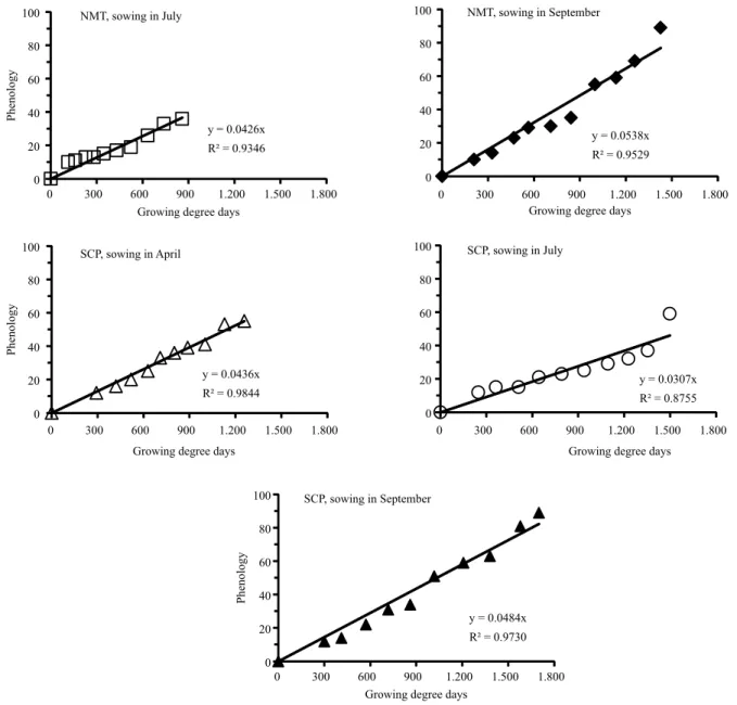 Figure 4. Phenological development of  Conyza bonariensis, according to the scale of Hess et al