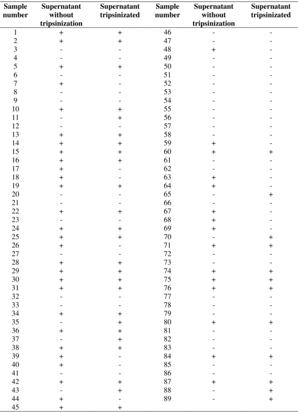 Table 1. Tripsinizated and non-tripsinizated supernatans toxigenicity of 89 isolated  C.perfringens strains from bovine origin