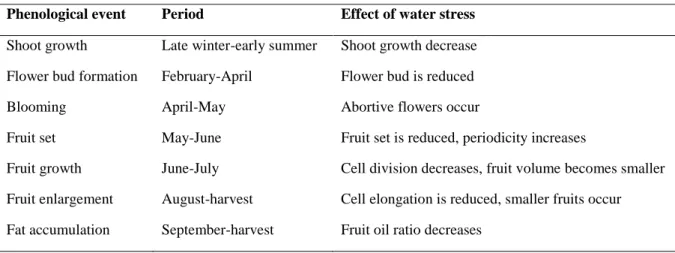 Table 1 - The effects of water stress on the development stages of olive tree (Tangu, 2014)