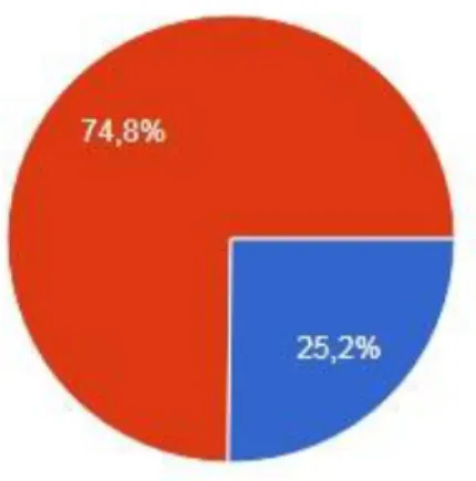 Gráfico 12: Capacidade 