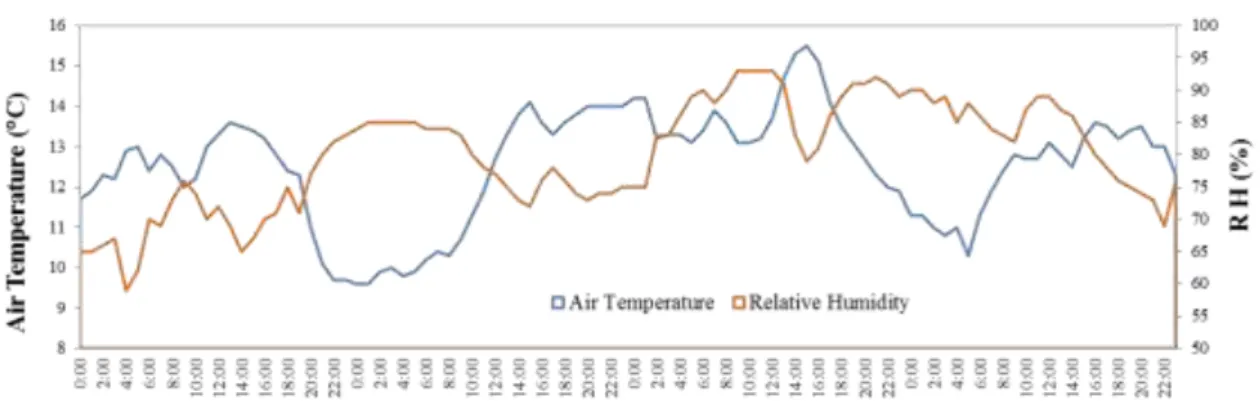 Fig. IV-2.  Daily variability of the air temperature (in ºC) and HR (in %) recorded between 1 and 4 January  2010.