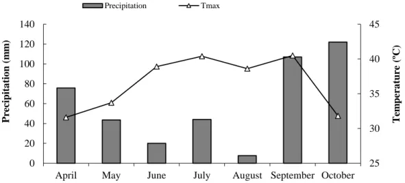 Figure  1  –  Monthly  values  of  maximum  temperature  (Tmax)  and  precipitation  at  the  experimental  site  during 2014