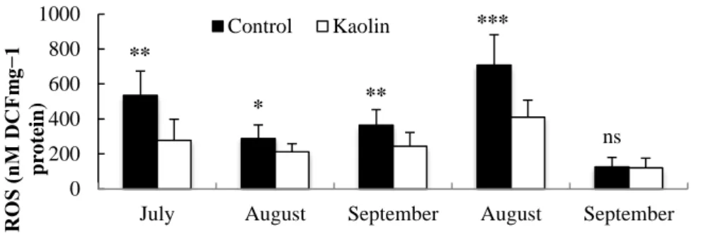 Figure 2 – ROS concentration (nM DCF mg -1  protein) of leaf and fruit extracts in control and Kaolin  treated grapevine plants in different development stages