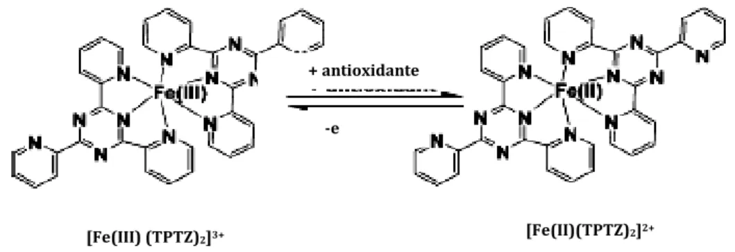 Figura  2:  Reação  de  redução  do  complexo  férrico-tripiridiltriazina  [Fe(III)-TPTZ]  ao  complexo  ferroso  [Fe(II)-TPTZ] em presença de um antioxidante (Adaptado de Huang et al., 2005)