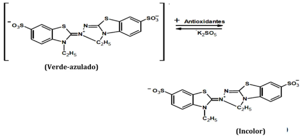 Figura 4: Estrutura do radical ABTS +•  antes e depois da reação com antioxidantes (Adaptado de Zuleta et al,  2009)