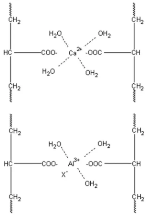 Figura 7. Representação das possíveis estruturas dos sais de poliacrilatos for- for-mados durante a reação de formação dos cimentos, onde X= F -1  ou OH -1