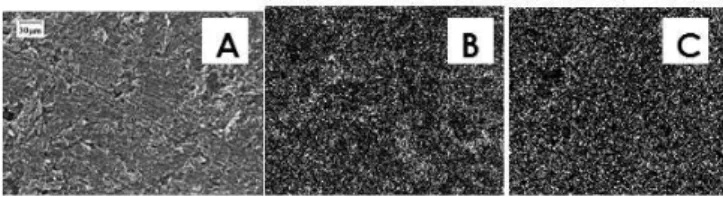 Figura 1. (A) Micrografia de superfície, (B) mapeamento para o oxigênio e  (C) mapeamento para o enxofre presentes no filme poli (éter alílico do ác