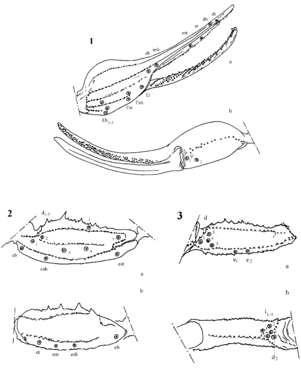 Figure 6. Tityus gonzalespongai n. sp. Female. 1- Right chela. a. Dorsal view. b. 