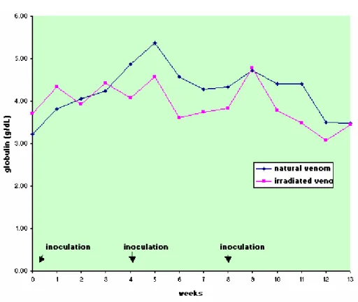 Figure 8. Mean values of globulin levels (g/dL) in sheep (n=12) inoculated with natural (NV)  and Cobalt 60 -irradiated (IrV) crotalic venom