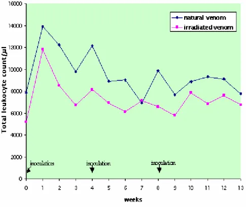 Figure 1. Mean values of total leukocyte count (cells/µL) in sheep (n=12) inoculated with  natural (NV) and Cobalt 60 -irradiated (IrV) crotalic venom