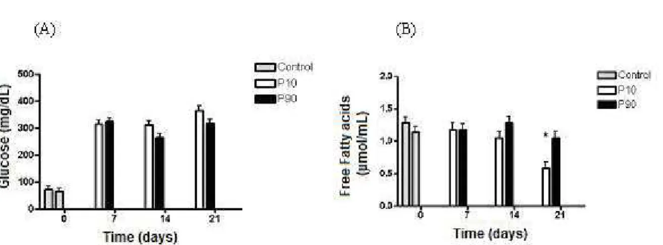 Figure 1. Glycemia (A) and free fatty acids (B) concentration of control group and  propolis treated rats (P10 or P90) after 7, 14 and 21 days of streptozotocin  administration