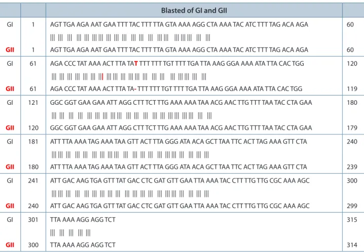 Table 2. BLAST alignment between group I and group II